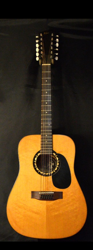 Hofner 12 String